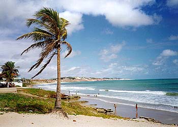 Beautiful Cotovelo Beach